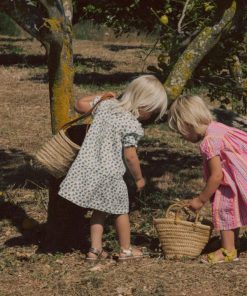 Paceandprose.shop54e6771c02 1