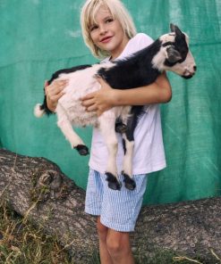 Paceandprose.shop5e83a312cd 1