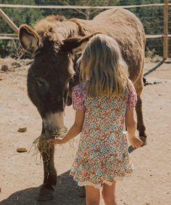 Paceandprose.shop9b3366cfd8 1